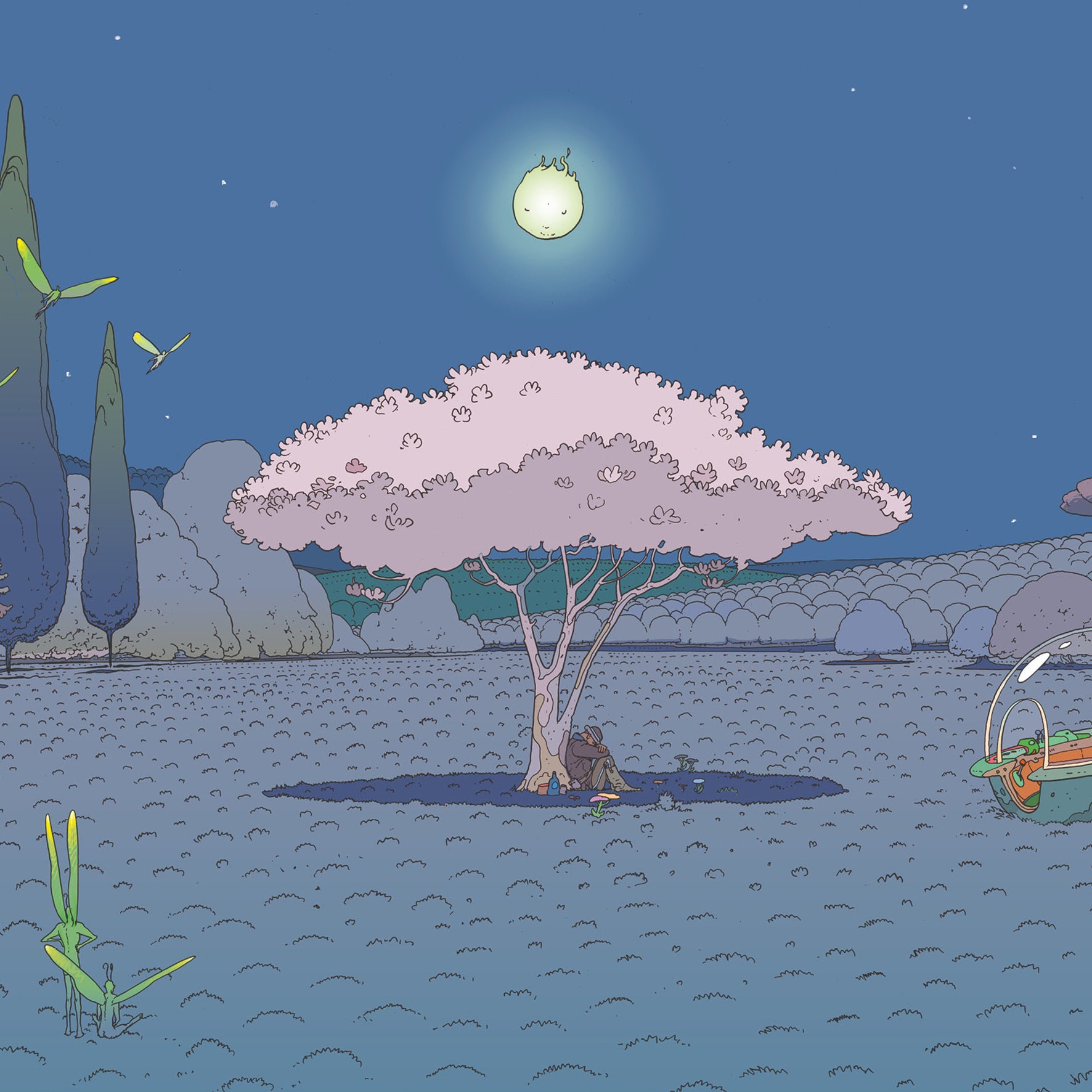 Bivouac