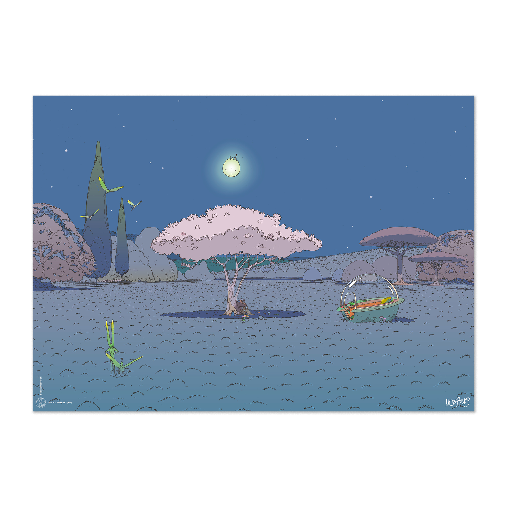 Bivouac