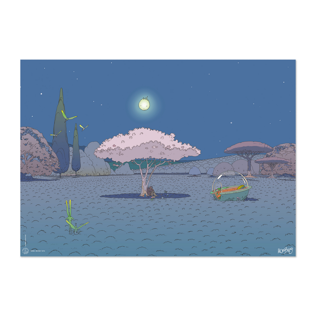 Bivouac